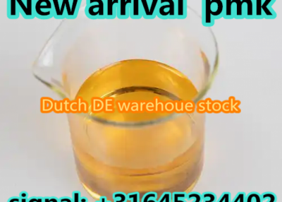 High yield pmk oil pmk powder PMK in europe warehouse 