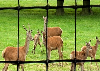Plastic Mesh Deer Fence