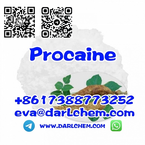 Procaine Hydrochloride Raw Procaine Hydrochloride CAS 51-05-8