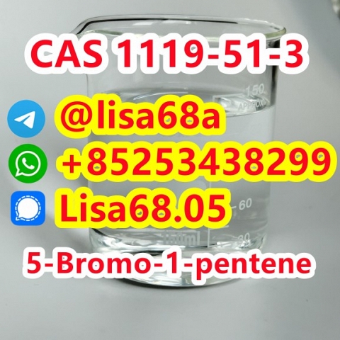 CAS 1119-51-3 5-Bromo-1-pentene C5H9Br