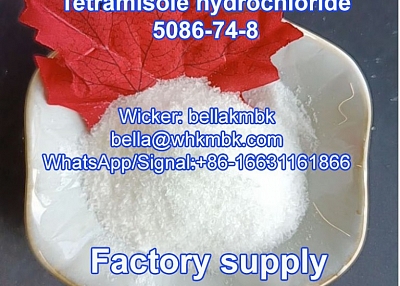 Factory supply Tetramisole hcl cas 5086-74-8 on hot sa;e