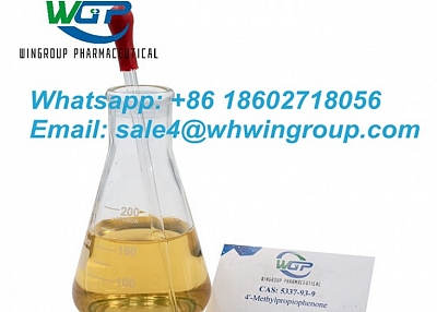 China Supplier 4-Methylpropiophenone CAS 5337-93-9 with Safe Shipping