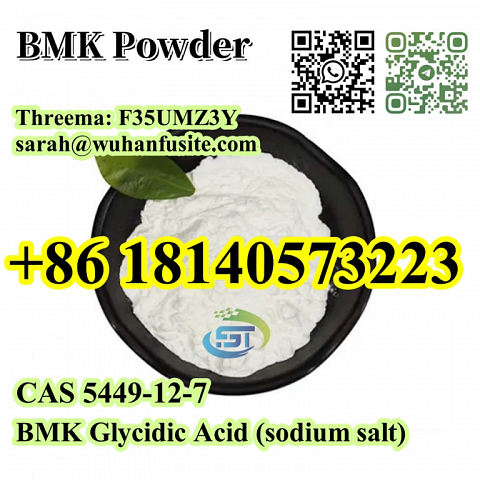 CAS 5449-12-7 BMK Glycidic Acid (sodium salt) With Best Price