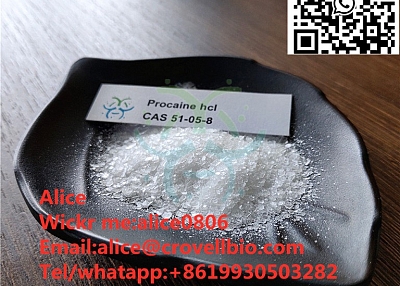 Buy procaine powder procaine from factory with good price +8619930503282