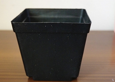 large plastic plant pots