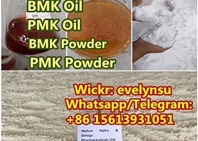 Manufacturer Supply New BMK PMK Oil/Powder Whatsapp:+8615613931051