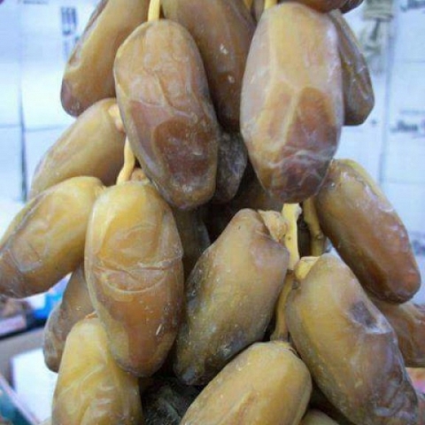 WE EXPORT DATES 