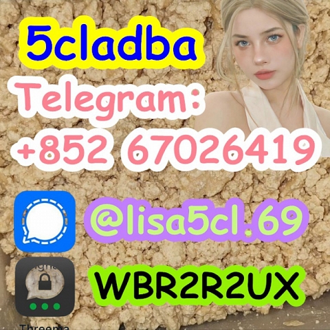 5cladba best cannabinoid 5cladb adbb precursor raw 5cl-adb-a 5fadb in stock 