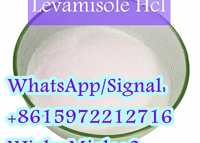 Bulk Supply Levamisole Hydrochloride/Hcl Cas 16595-80-5 Fast Delivery Levamisole Hcl Best Price