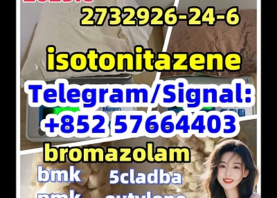 isotonitazene 2732926-24-6 14188-81-9 