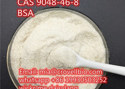 Bovine serum albumin CAS 9048-46-8 BSA Supplier in China ( whatsapp +86 19930503252 