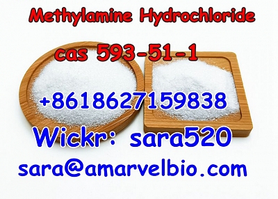 +8618627159838 Methylamine Hydrochloride CAS 593-51-1 Research Chemical with Fast Delivery