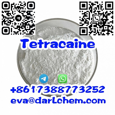 Taoteng Supply Tetracaine HCl Powder CAS 136-47-0 Tetracaine Hydrochloride Tetracaina HCl