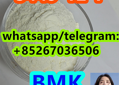 Factory Price BMK powder 5449-12-7