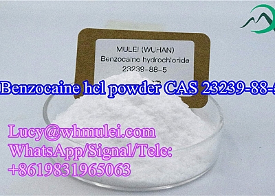 Pass UK Benzocaine hcl Powder CAS 23239-88-5 Local anesthetics drugs China Factory Direct Supply