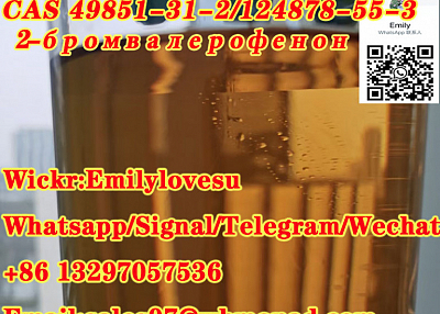 49851-31-2/124878-55-3/2-Bromovalerophenone Cas 49851-31-2 Russia Stock