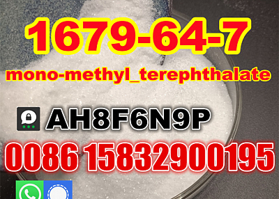 MMT raw powder Cas 1679-64-7 monomethyl terephthalate good price