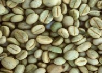 SPECIALTY COFFES (BRAZIL)