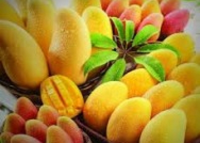 Delicious Pakistani Mangoes Available