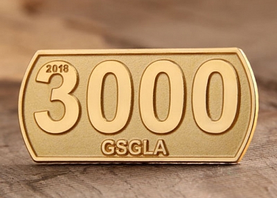 3000 custom lapel pins