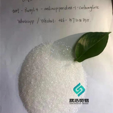 The Best Price of 1-Boc-4- (Phenylamino) Piperidine CAS No 125541-22-2 99% White powder 125541-22-2 