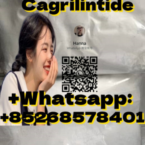 quality assurance 1415456-99-3Cagrilintide