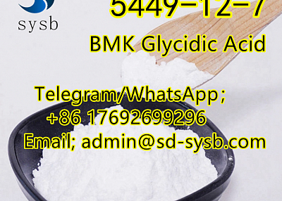  98 CAS:5449-12-7 BMK Glycidic Acid