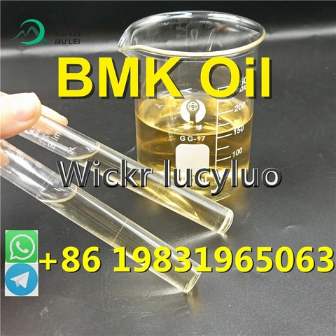 Low Price Light Diethyl (phenylacetyl) Malonate CAS 20320-59-6 Pmk Liquid with Door to Door Delivery
