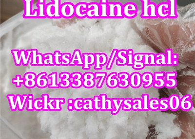 Lidocaine Hydrochloride / Lidocaine HCl CAS 73-78-9 for Pain Killer