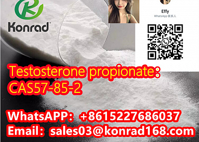  Testosterone propionate：CAS57-85-2