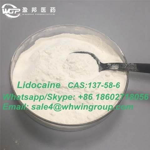  Factory Supply High Purity 99% CAS 137-58-6 Lidocaine with Safe Transportation