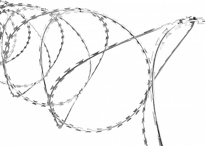 Concertina Wire