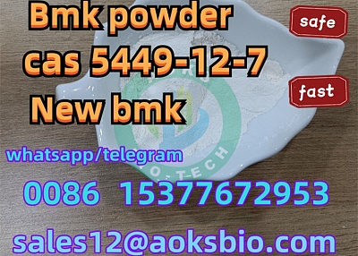 cas 5449-12-7 BMK Glycidic Acid sodium salt 99% White Powder