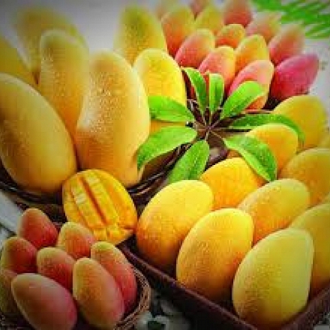 Delicious Pakistani Mangoes Available