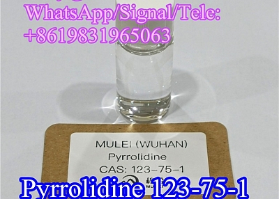 Pyrrolidine CAS 123-75-1 High Purity Flavors and Spices Pyrrolidine China Manufacture