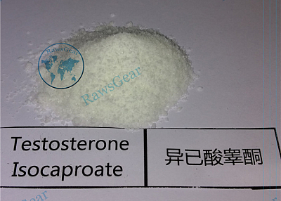 Testosterone Isocaproate