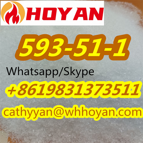 Low Price CAS 593-51-1 Methylamine Hydrochloride Methylamine HCl with Good Feedback