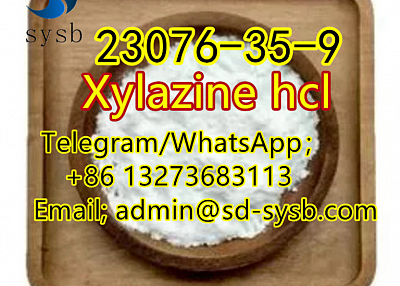  10 A  23076-35-9 Xylazine hcl 