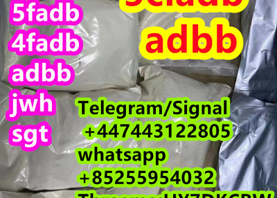 5CLADB 5FADB ADBB JWH018 ADB-FUBINACA AMB-FUBINACA