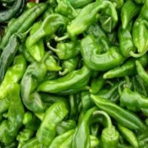 Long Green Cayene Hot Peppers available