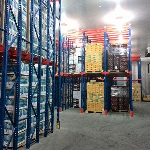Fruits and Vegetables Warehouse Factory