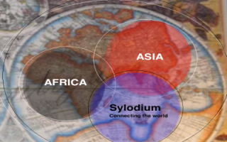 ASEAN - Africa Trade (Sylodium, World Wide Trade Platform)