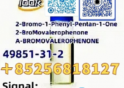 Proveedor chino de 2-bromo CAS 49851-31-2, fábrica de fabricación