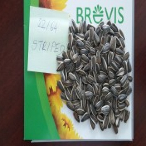 Striped Sunflower Seeds type 22/64 ; 23/64 ; Jaguar XL