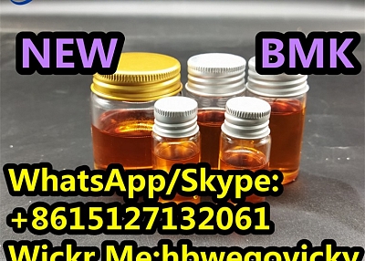 Fast shipping Diethyl (phenylacetyl) Malonate CAS NO.20320-59-6