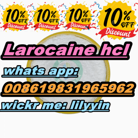 Netherland Dimethocaine hcl cas 553-63-9