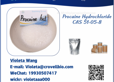 Pharmaceutical Chemical China Supplier CAS 51-05-8 Procaine HCl