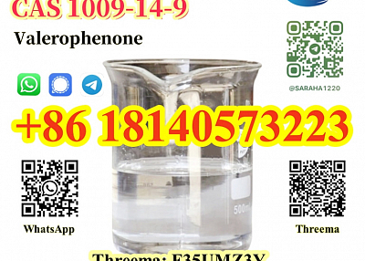 BK4 Liquid Valerophenone CAS 1009-14-9 with Best Price 