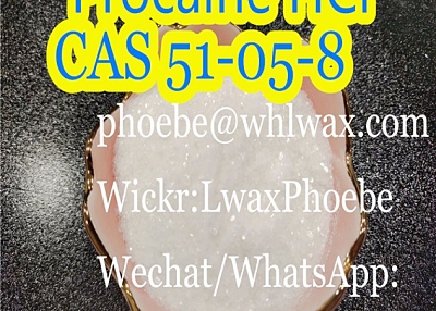 100% Safety Delivery Procaine hcl Powder CAS 51-05-8 phoebe@whlwax.com