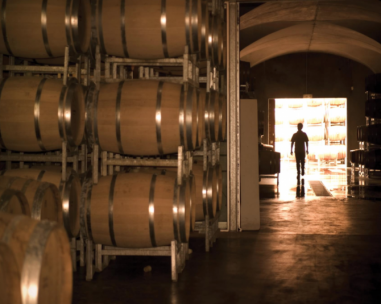 Wine and tourism in Australia